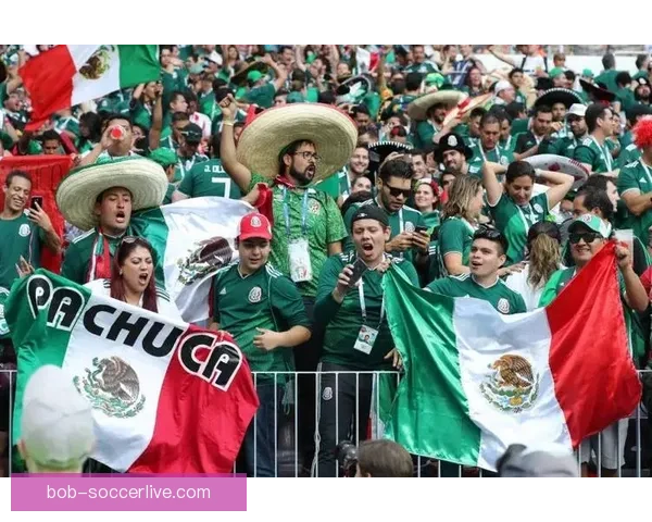 美加墨三国联合承办世界杯盛宴打造全新足球文化与全球赛事体验